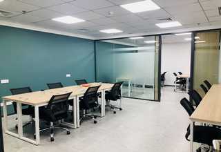 浙江口碑好猫粮拌饭零食价格