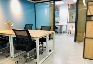 室外仿真绿植发源地出售